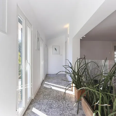 Appartement Estrela Premium By Homing *